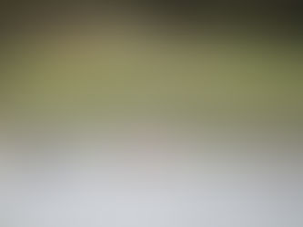 Lake Nakuru and Lake Naivasha (Day 3-4)