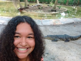 Crocodile farm (Day 5)