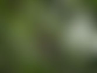 Finca Verde Farm day 2