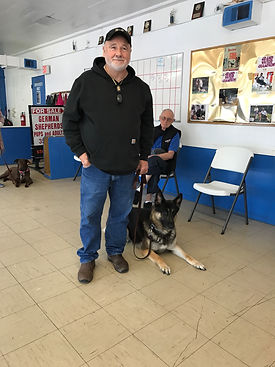 Making a dog work in training class