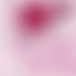 Flawless – Elsie Silver