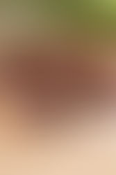 6 Reese A-Layering Cupcakes