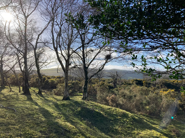 How do you inhabit the world?