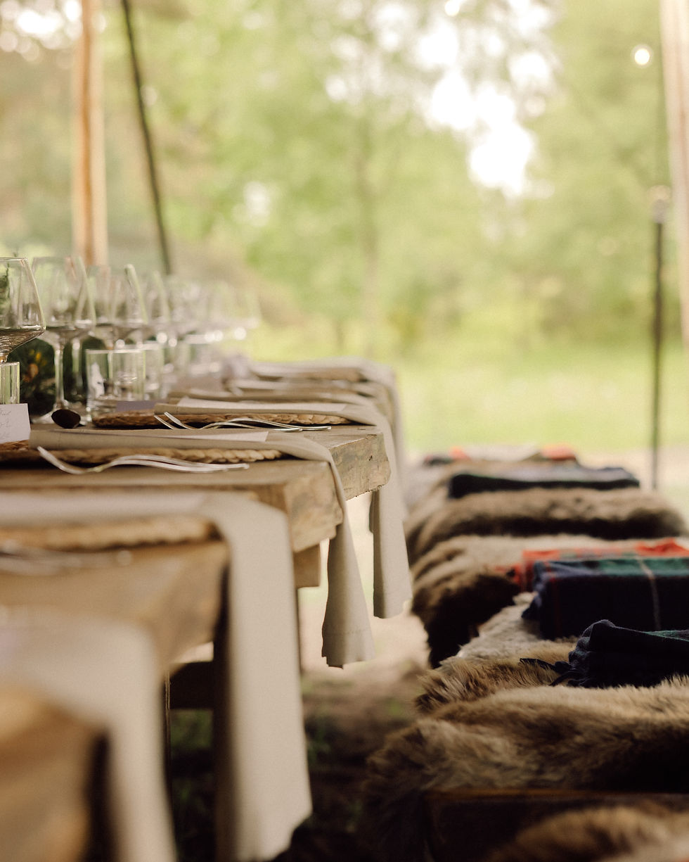 Wine safari and forest feast