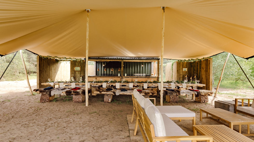 Wine safari and forest feast