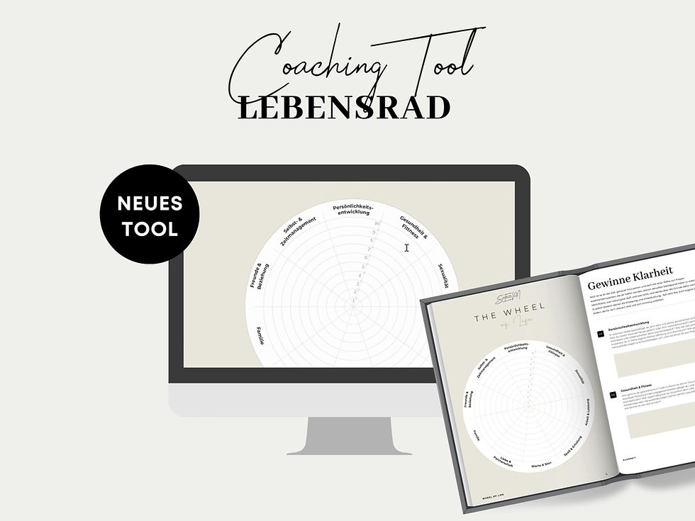Miniaturbild: Coaching Tool_Lebensrad_SEM Concept Store