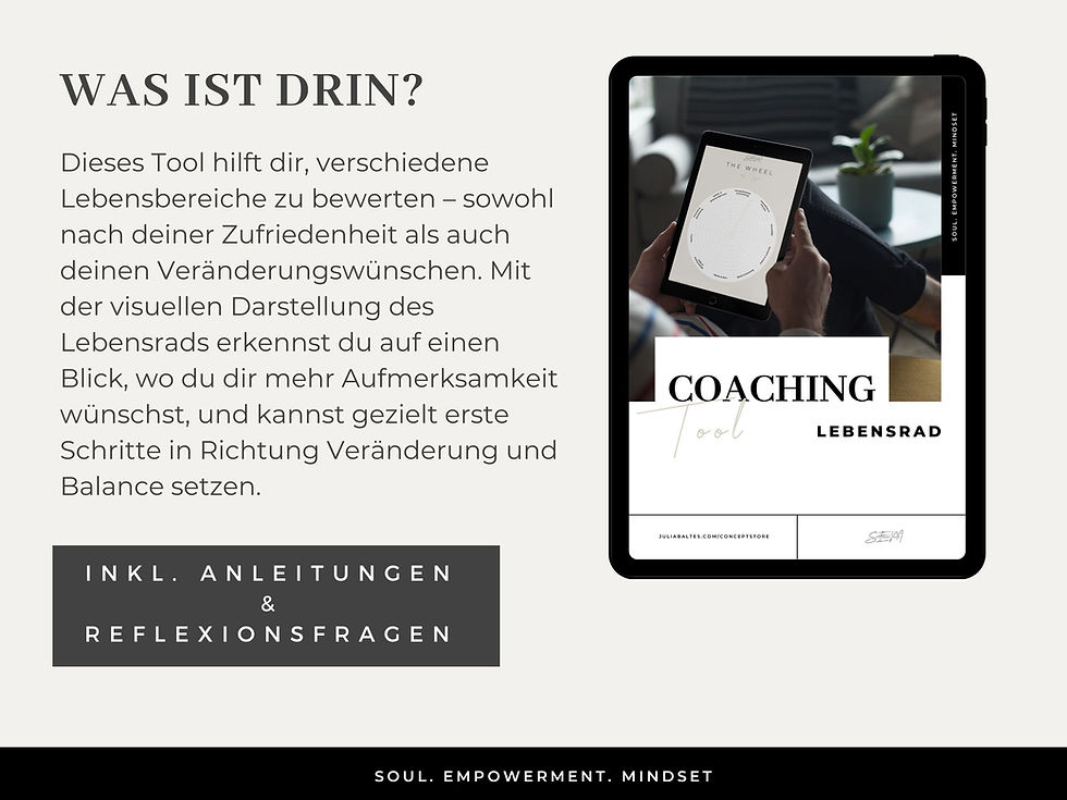 Miniaturbild: Coaching Tool_Lebensrad_SEM Concept Store