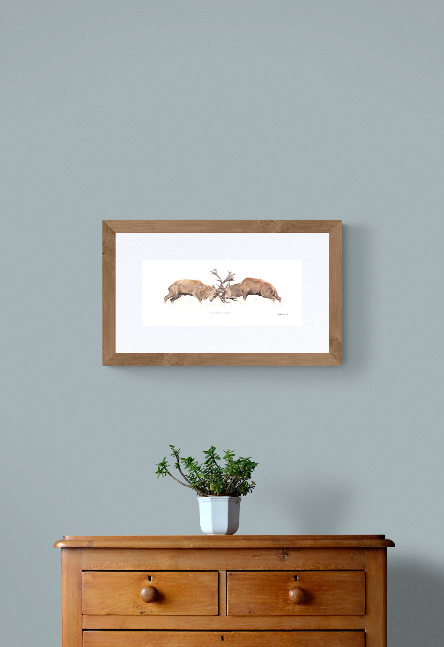 The Clash of Antlers