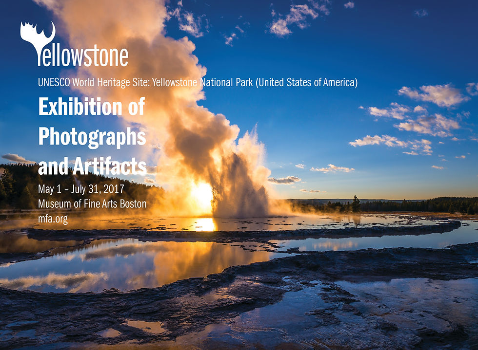 New Yorker Ads-02.jpg