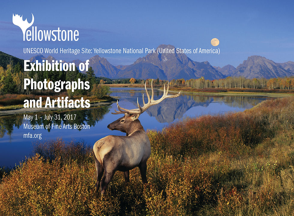 New Yorker Ads-01.jpg