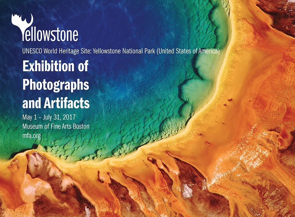 New Yorker Ads-03.jpg