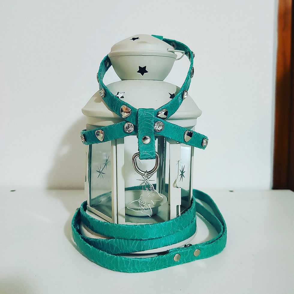 Miniatura: P138