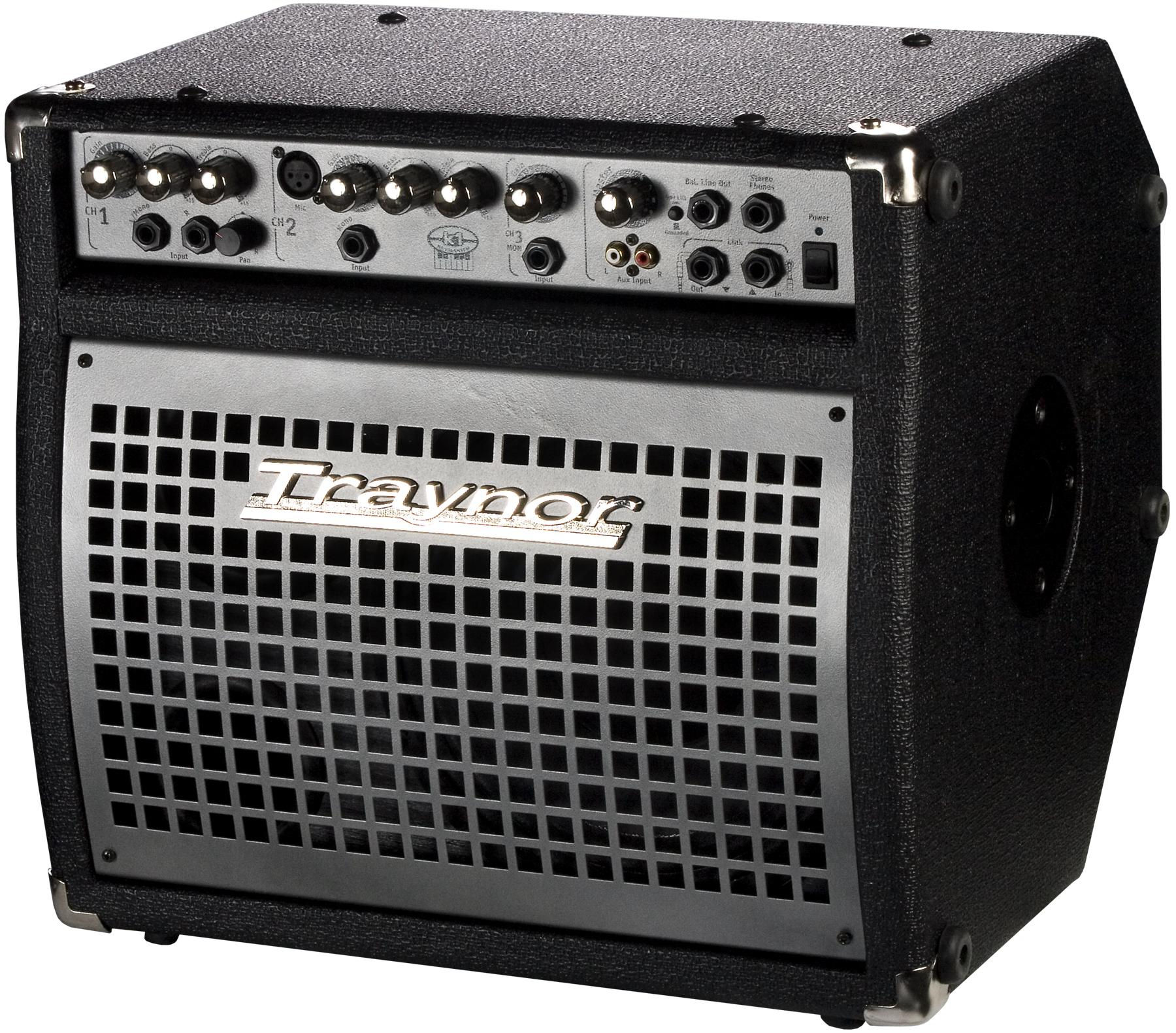 Traynor electric amp
