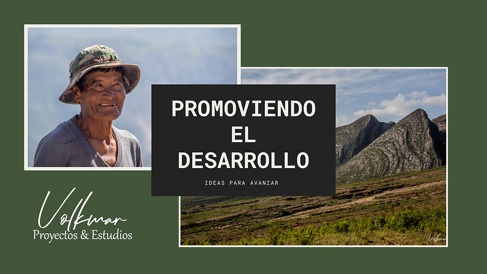 Promoviendo el Desarrollo (1).png