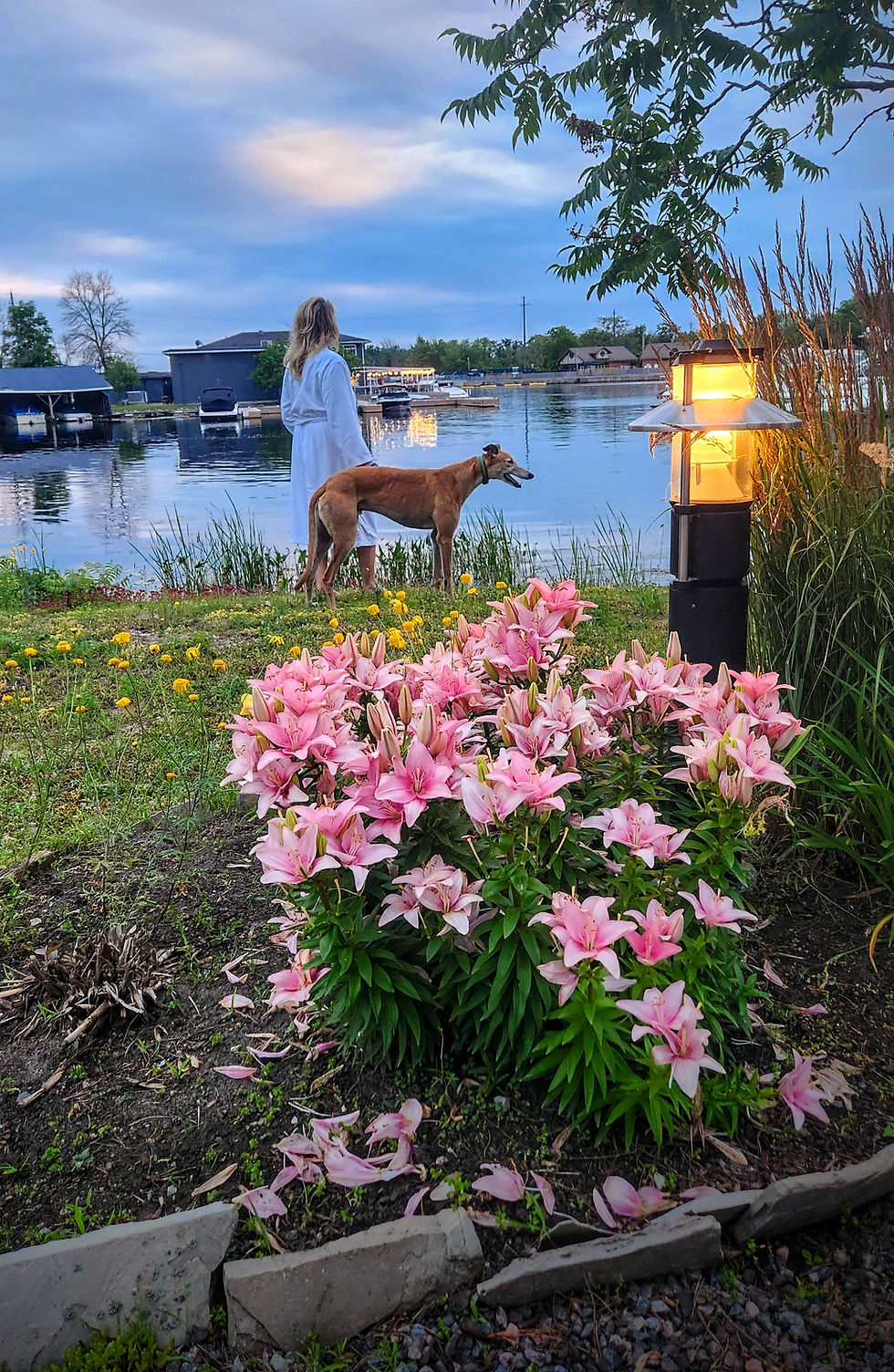 ROAMISTAS KERRI, ROB & E-DOG EXPLORE PORT SEVERN