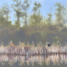 Canvas Print Reproduction – Red Winged Blackbird Song
