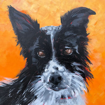 cma | art pet portraits