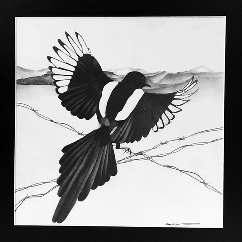 Chandler Strange Art -- drawing, magpie
