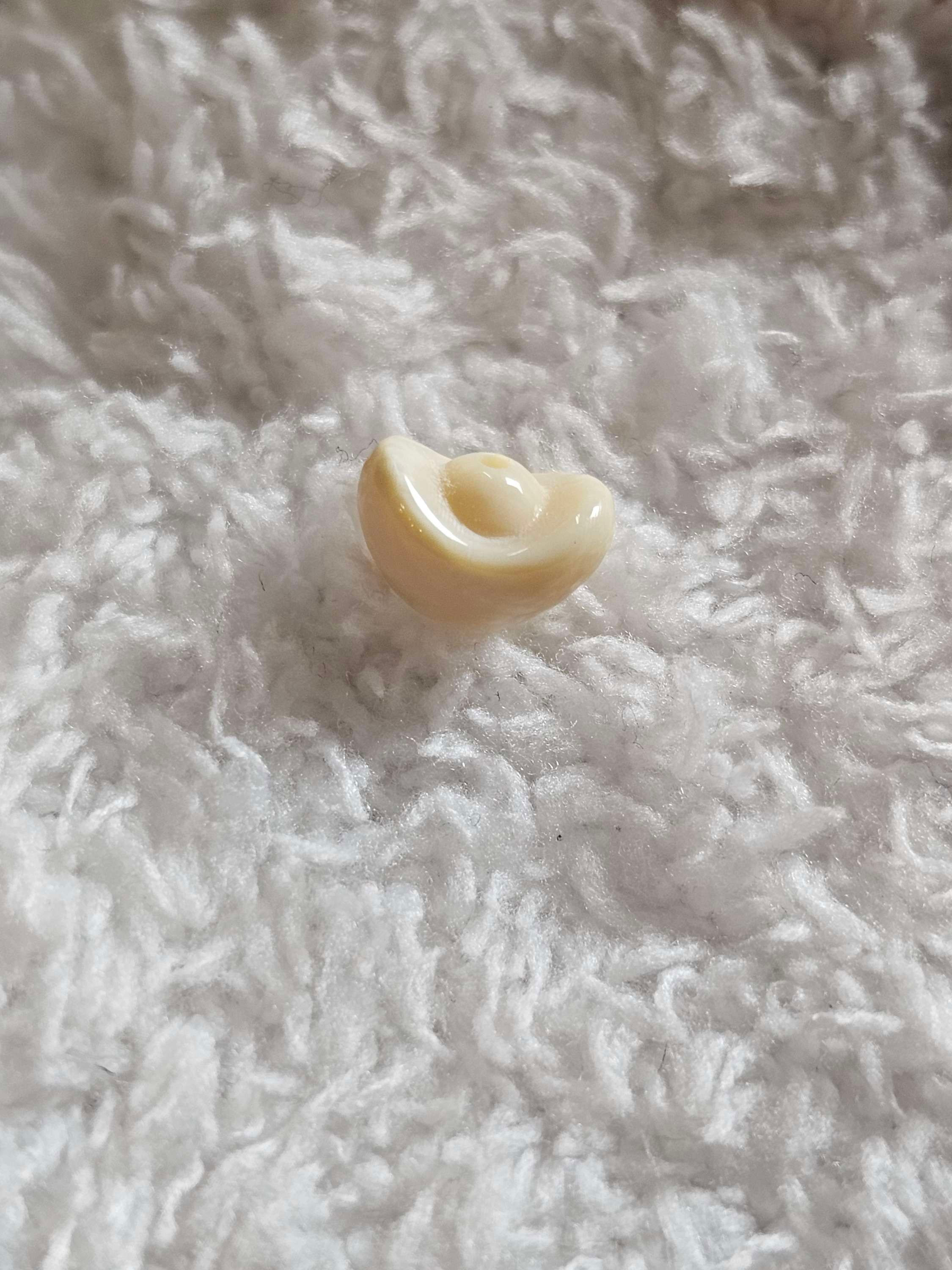 Fei专拍 猛犸小元宝