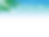 木漏れ日