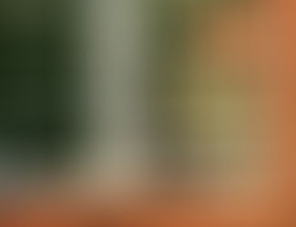 PUPDATES ~ HI MOM!!!