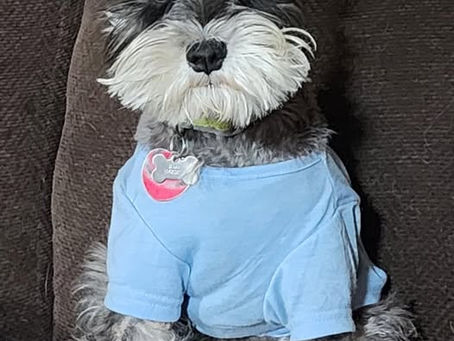 PUPDATE ~ Baby Doll!<3