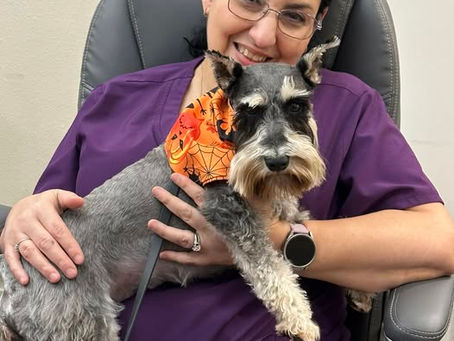 PUPDATE ~ Nurse Lucy in the House!!