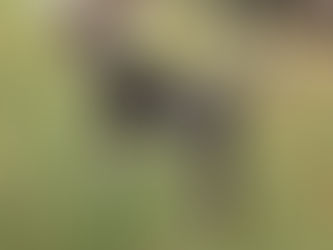 PUPDATE ~ Noah's First Snow!!