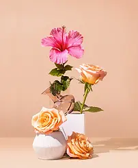 osewater_hibiscus-THUMB.webp