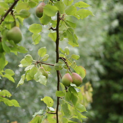 Ontdek de lessen die de natuur al lang weet...