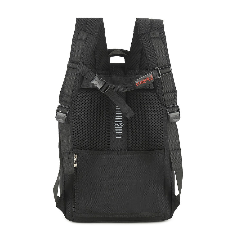 الصورة المصغرة: SAC A DOS PORTE PC LUX CR-4813-PC CRISTAL