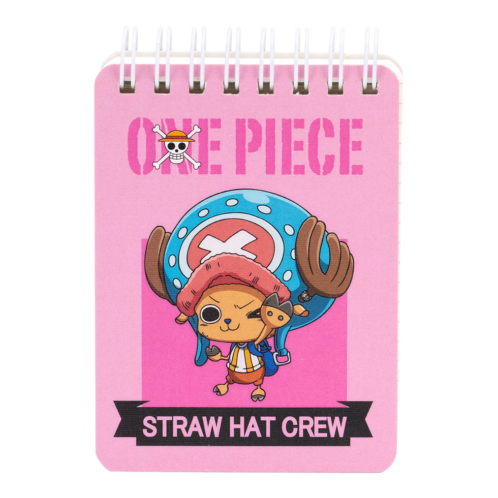 Miniature : BLOC NOTE SCOLAIRE PM (75*102MM 80G/100F) DELI EN005