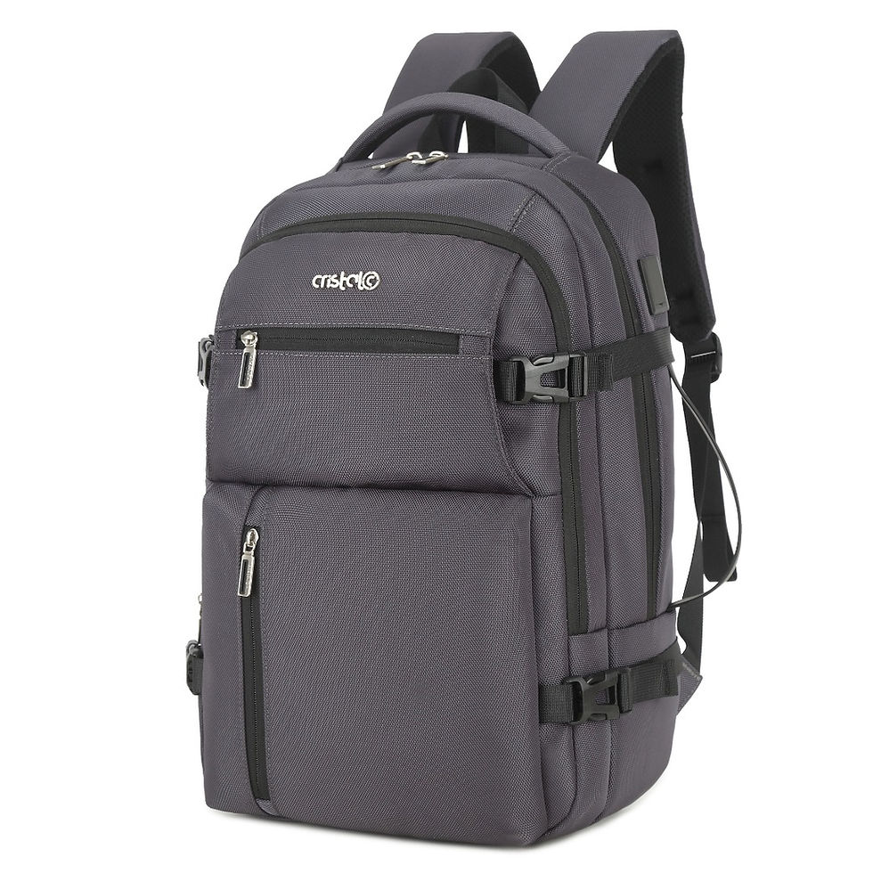 الصورة المصغرة: SAC A DOS PORTE PC LUX CR-4817-PC CRISTAL