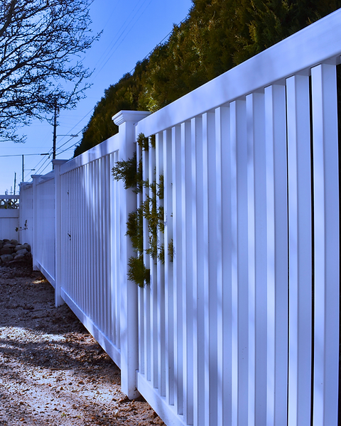 Untitled design (43).png