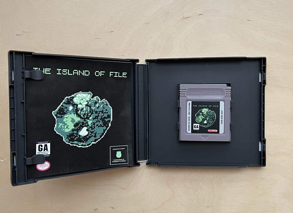 Thumbnail: Twin Pack - The Island of File for the Nintendo Gameboy (Color)