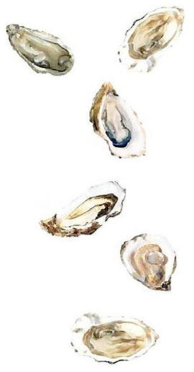 Oysters_edited.jpg