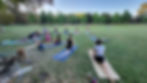 martial yoga lyon parc