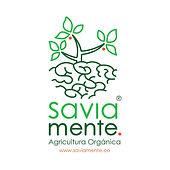 WhatsApp Image 2020-10-16 at 16.15.10.jpeg