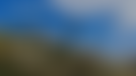 Staal jou! Ek het vrae. Het die reën 'n pa