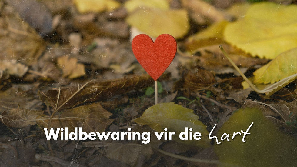 Wilbewaring vir die hart