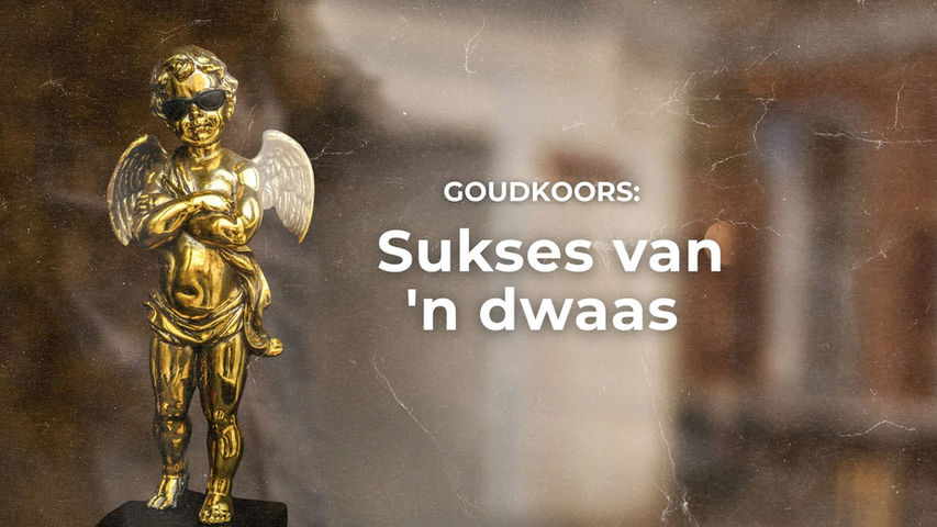 Goudkoors: Sukses van 'n dwaas