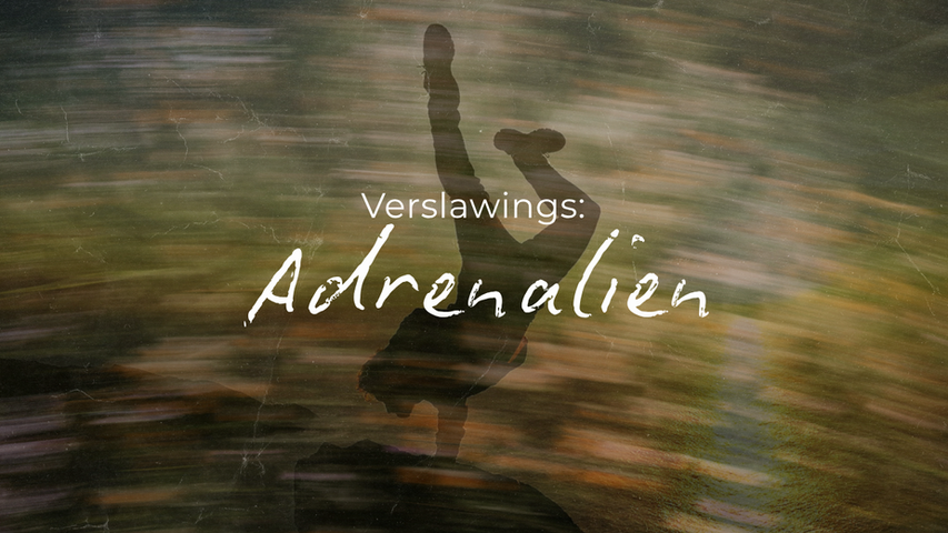 Verslawings: Adrenalien