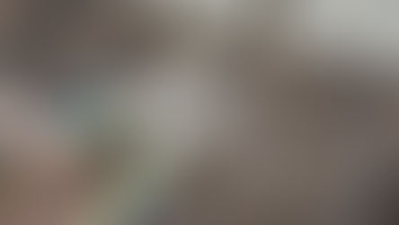 Sterf voordat jy moet…