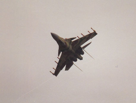 1994 Berlin Su-35 (Stefan Marx)_4.jpg