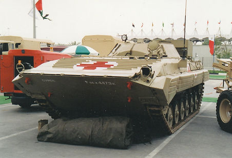 Russia BMP San (Stefan Marx, Abu Dhabi).jpg