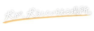 D7300840-372A-432C-AD59-2F12CDDED049.PNG