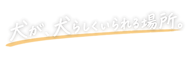 D7300840-372A-432C-AD59-2F12CDDED049.PNG