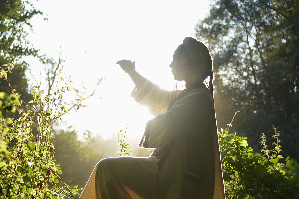 Tai Chi Chuan A medicina do movimento na tradição chinesa