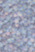 b79e4e093aeec0c509d811852d9f1e15_edited.png