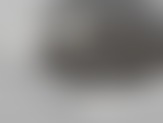 Autodesk 3D Visualization